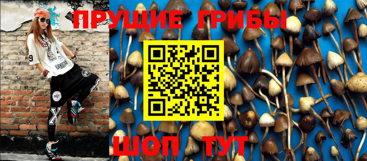 Галлюциногенные грибы ЛСД Горно-Алтайск