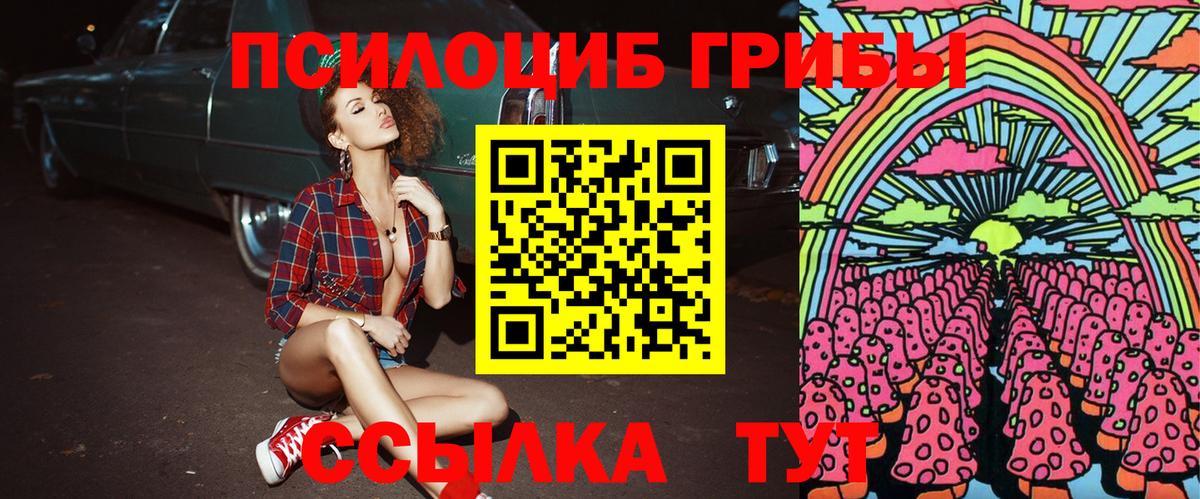 Псилоцибиновые грибы прущие грибы  Псилоцибиновые грибы Psilocybe  Горно-Алтайск  Вход с VPN 